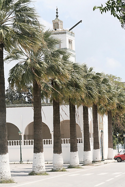 Tunis, Carthage-349